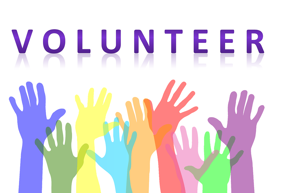 Поиск консультанта: Сбор лучших практик создания и внедрения эффективных волонтерских программ в регионе ВЕЦА