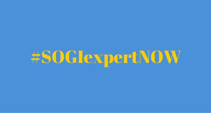 628 NGOs from 151 Countries Call for a SOGI Independent Expert at the UN