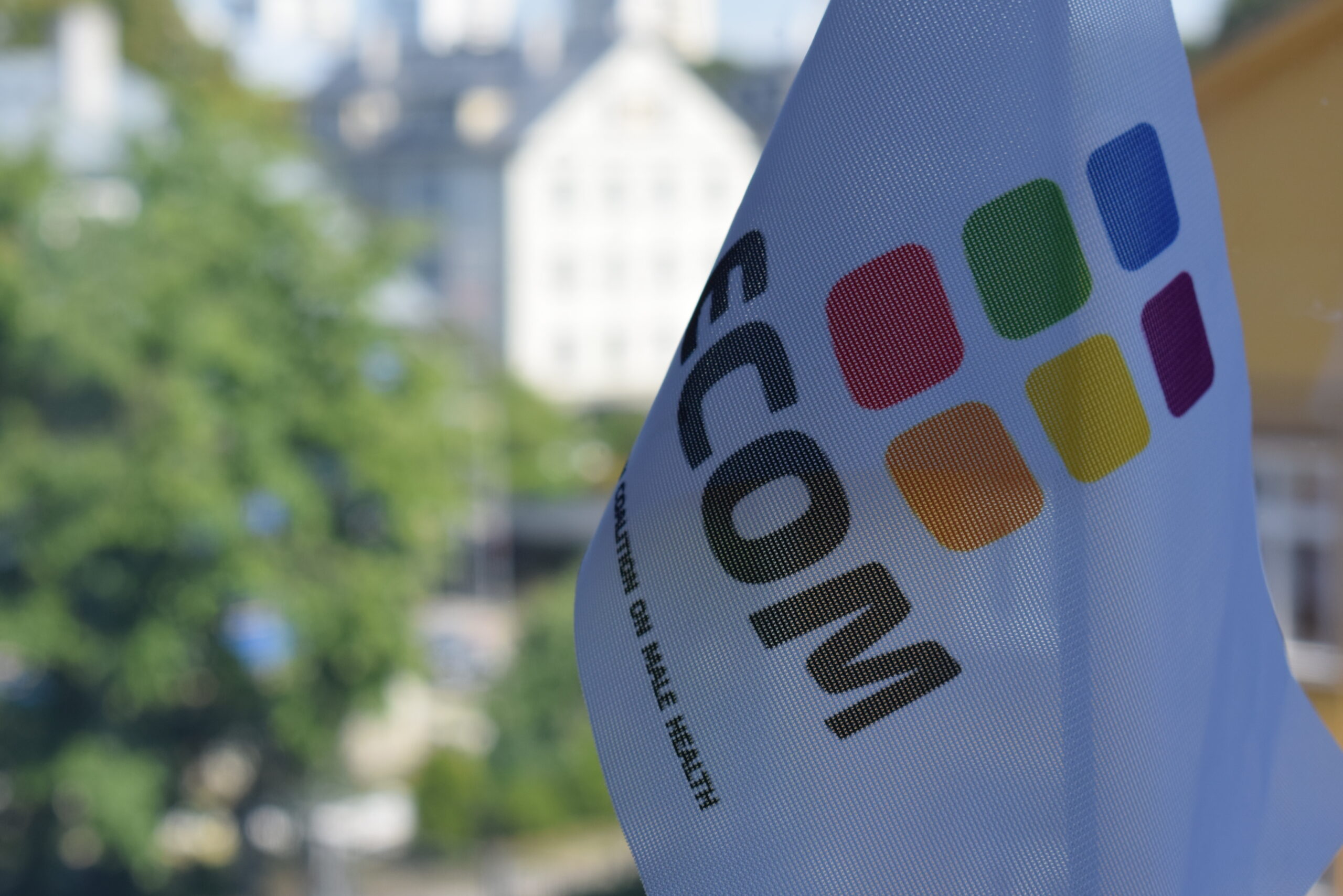 Выборы Руководящего совета ЕКОМ 2019