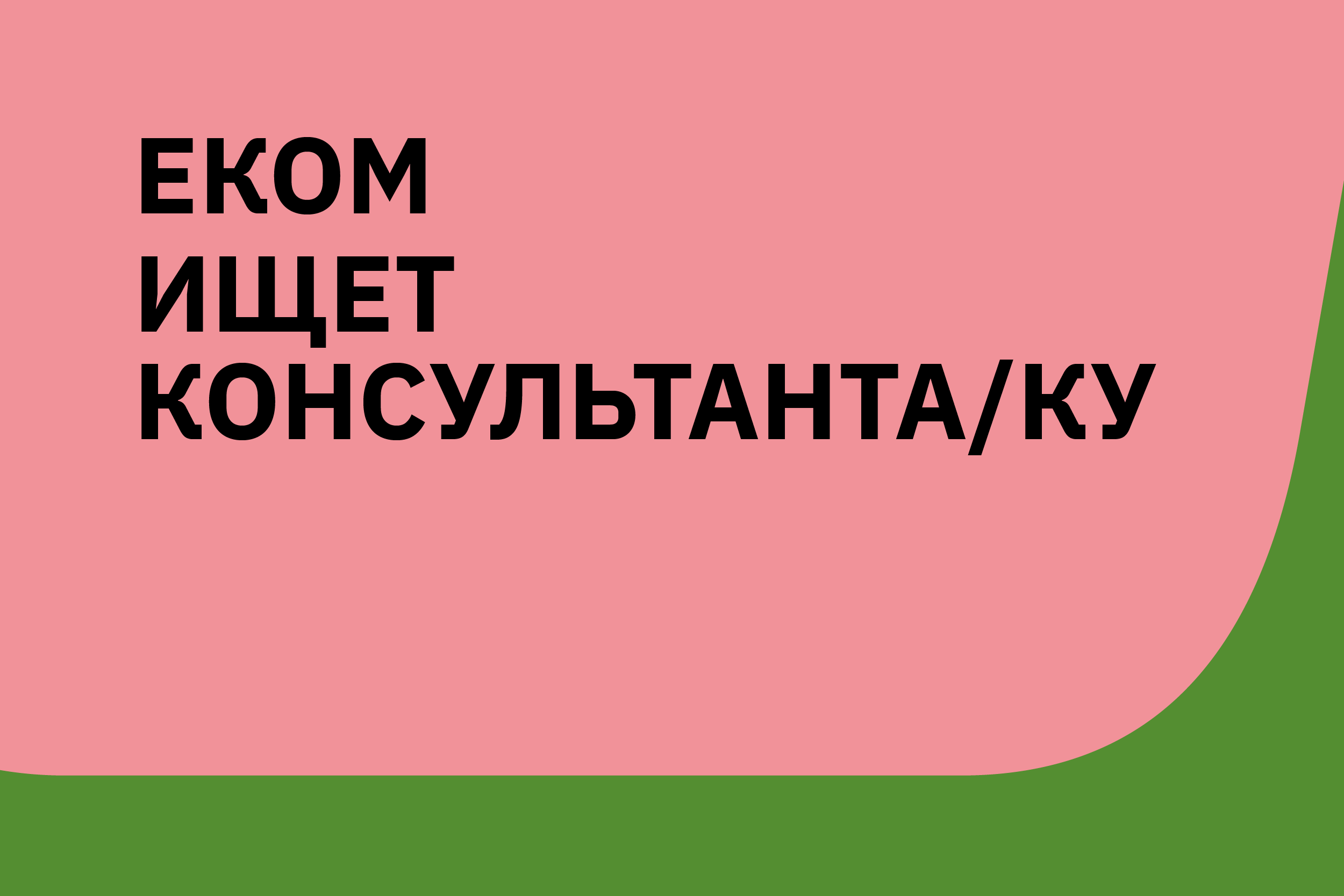 ЕКОМ ищет консультанта/ку для исследования вынужденного перемещения ЛГБТ-людей из региона ВЕЦА