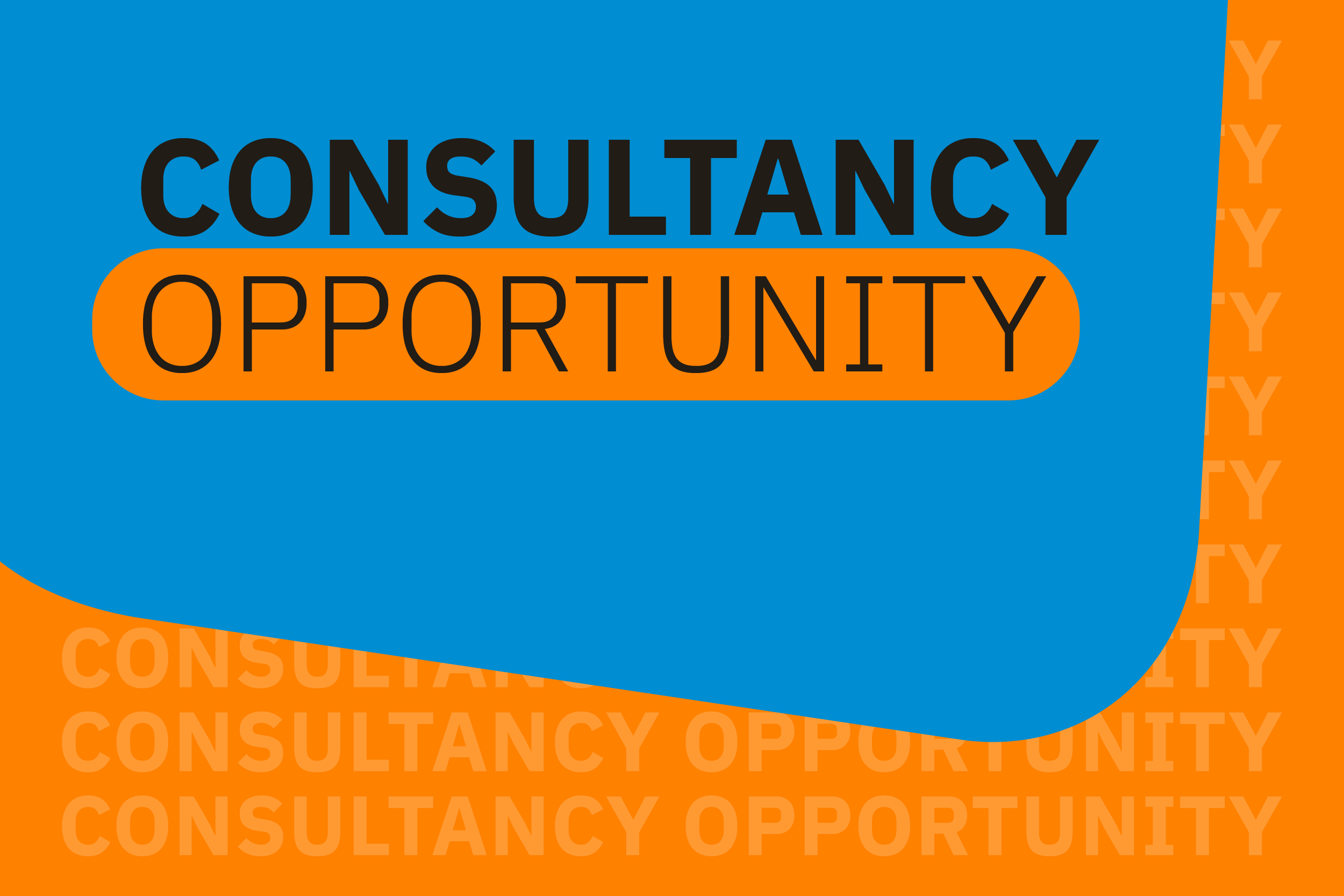 ECOM is looking for a consultant or team of consultants to develop and deliver a training on strengthening CSO resilience in a shrinking civic space