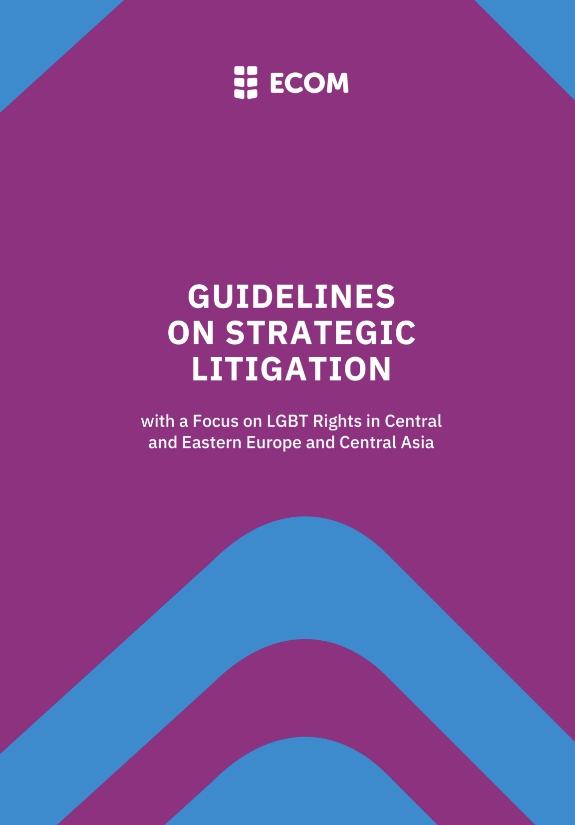 Guidelines on Strategic Litigation