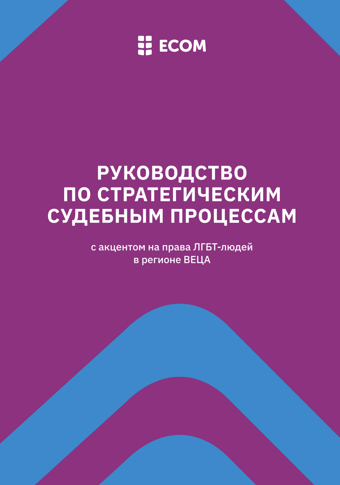Руководство по стратегическим судебным процессам